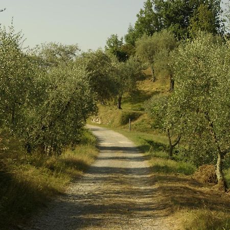 Aramo Verde Extérieur photo